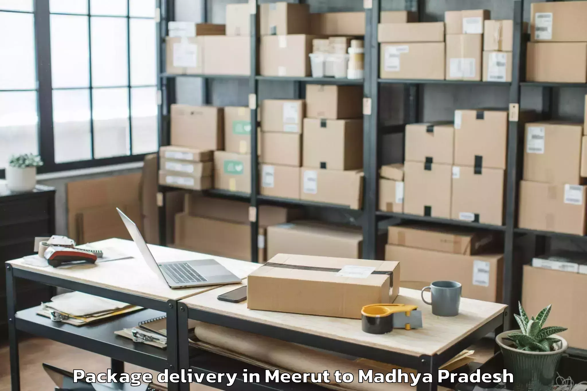 Leading Meerut to Porsa Package Delivery Provider